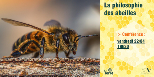 Conférence : La philosophie des abeilles 