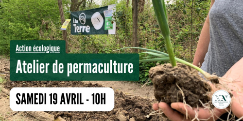 Action écologique : atelier de permaculture